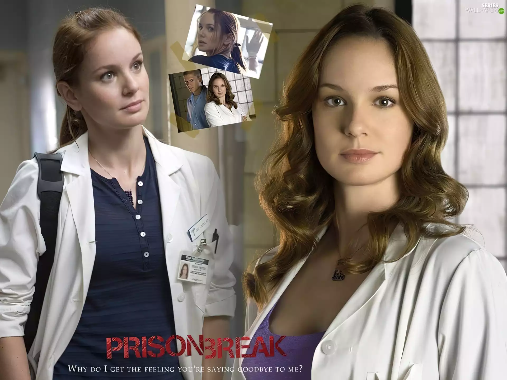 apron, Window, Prison Break, Sarah Wayne Callies, Prison Break