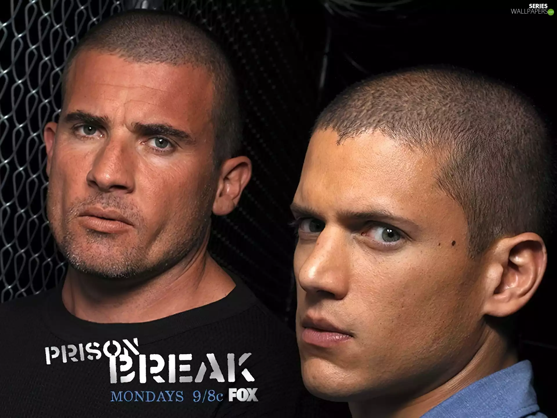 Prison Break, Dominic Purcell, Wentworth Miller, Prison Break