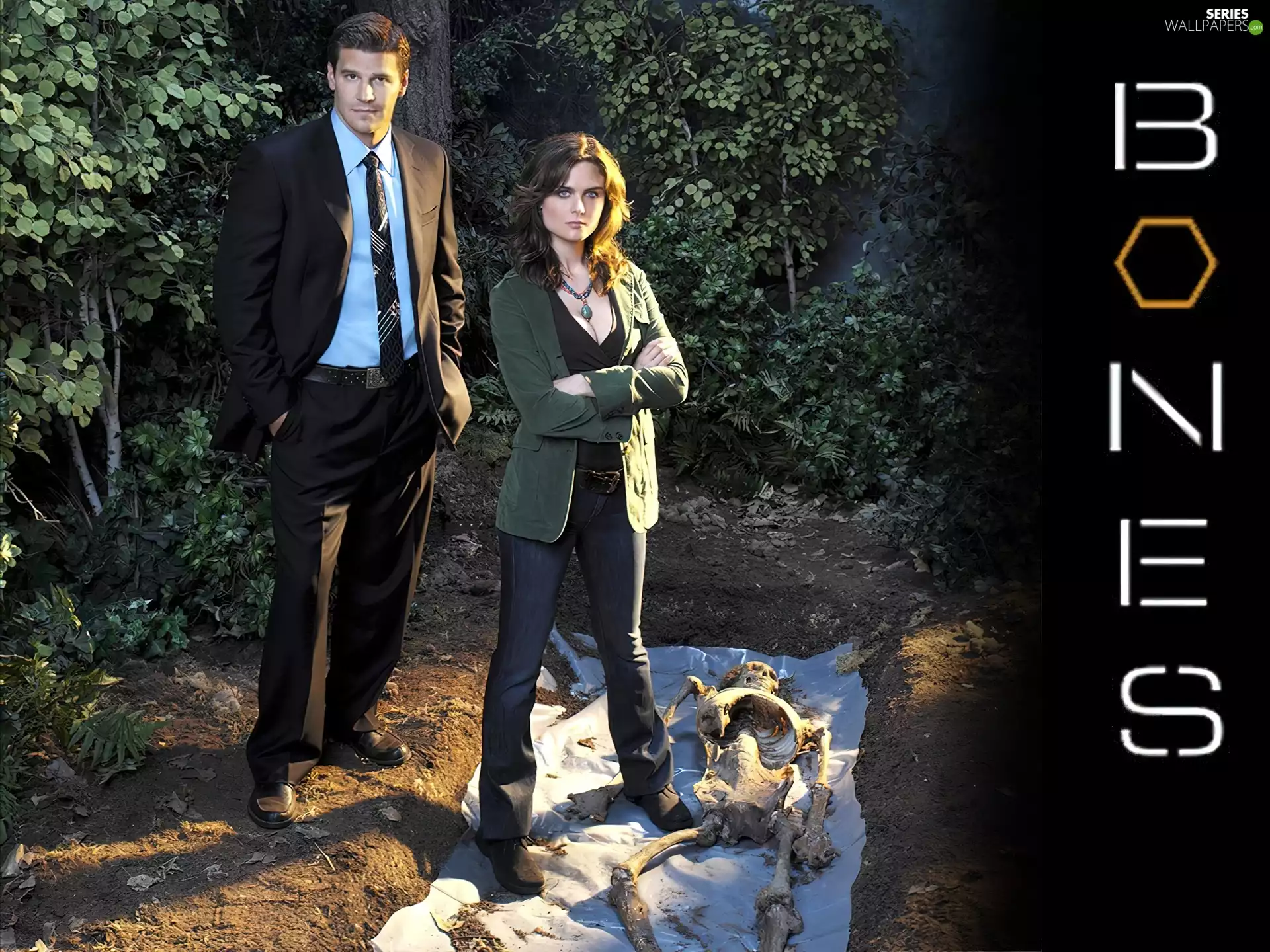 David Boreanaz, Emily Deschanel, Bones, bones, series