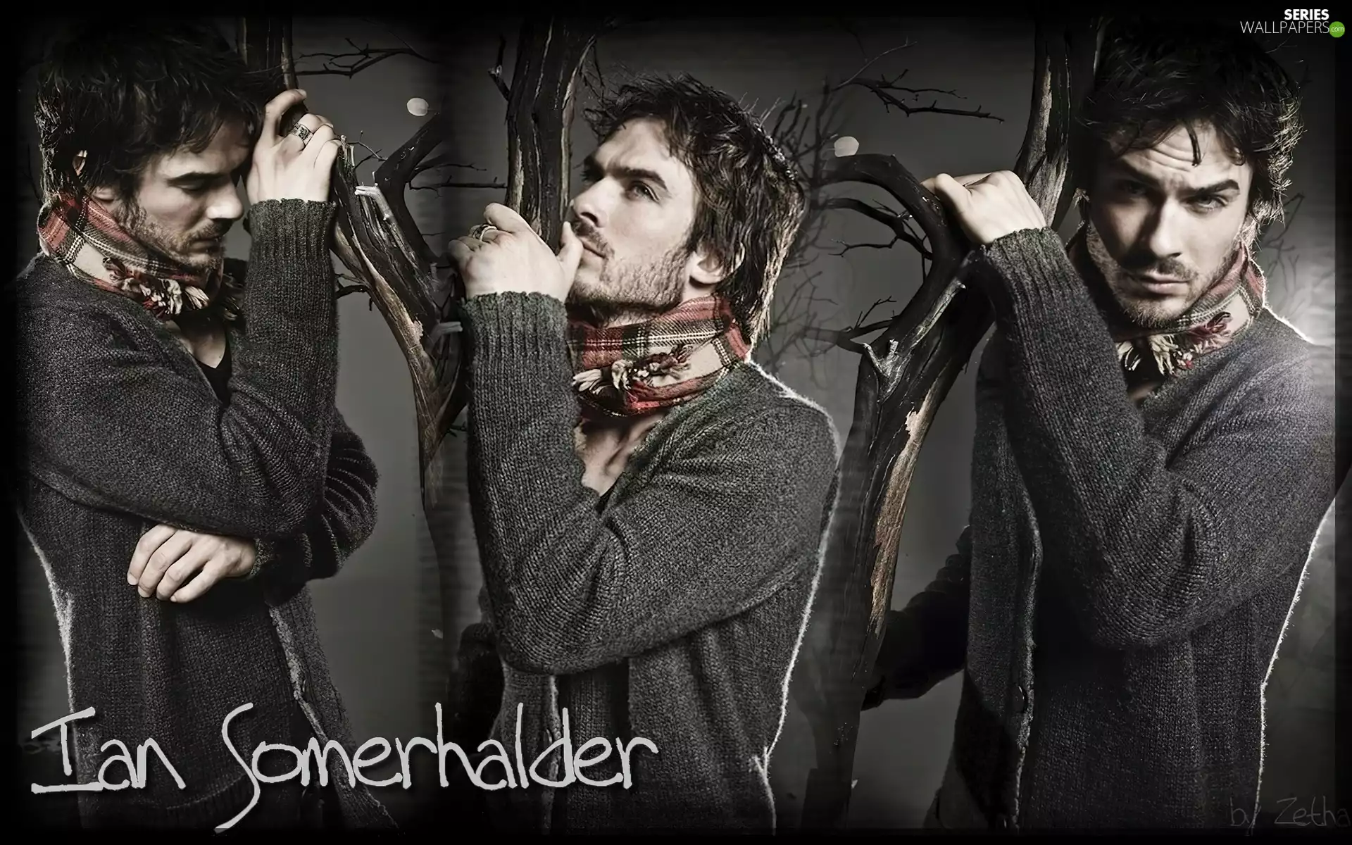 The Vampire Diaries, ian somerhalder, The Vampire Diaries