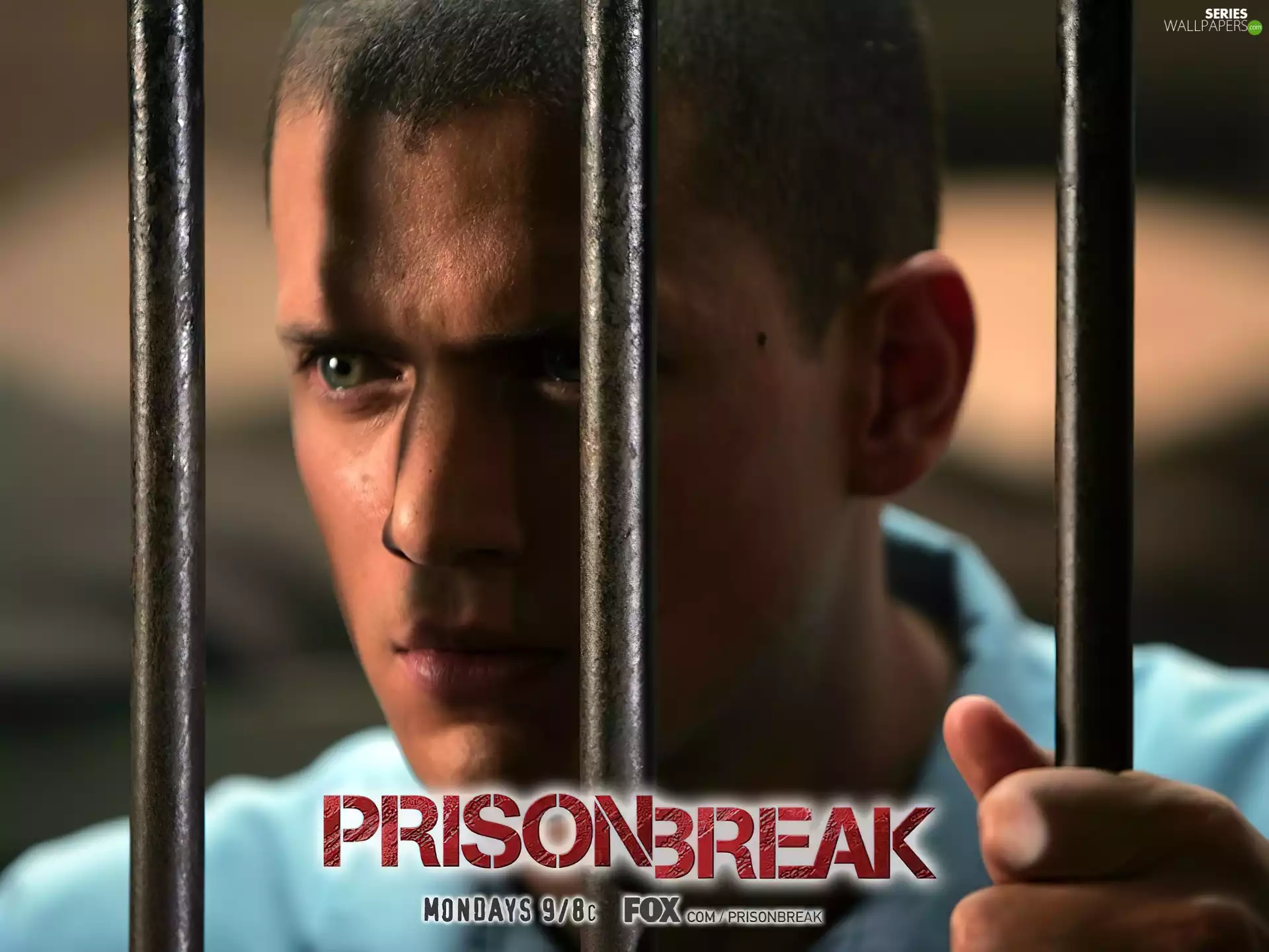 Prison Break, Wentworth Miller, bars, Prison Break