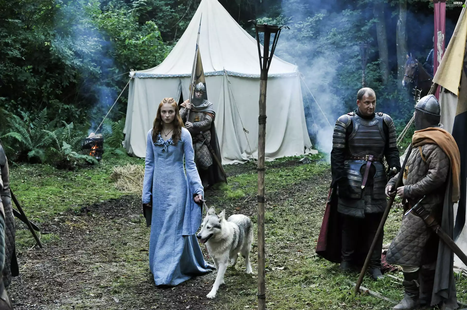 Sophie Turner, Game Of Thrones, dog, Sansa Stark, Game of Thrones, knights, actress