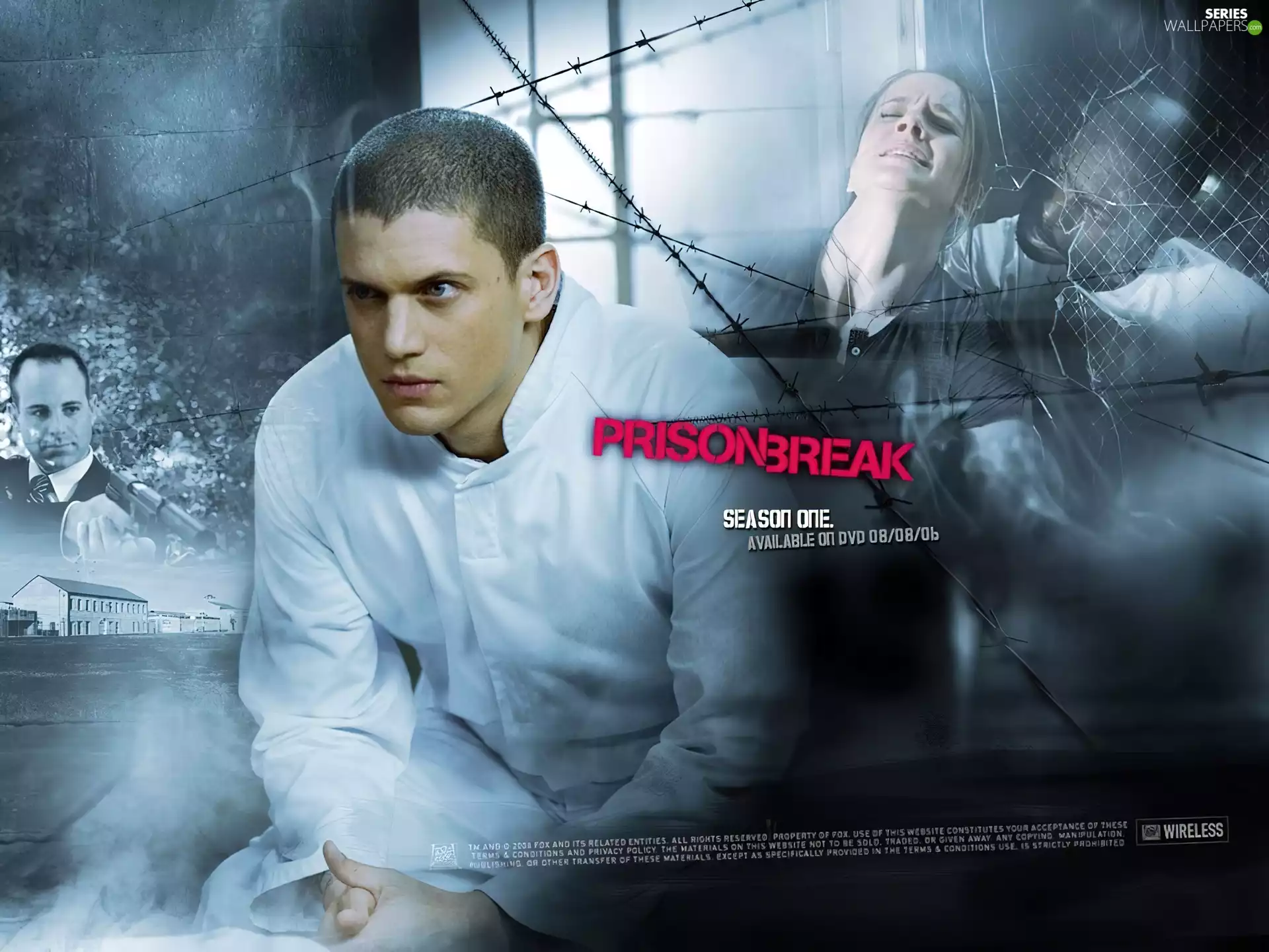 Sarah Wayne Callies, Prison Break, prickly, Wentworth Miller, Prison Break, Paul Adelstein, wire