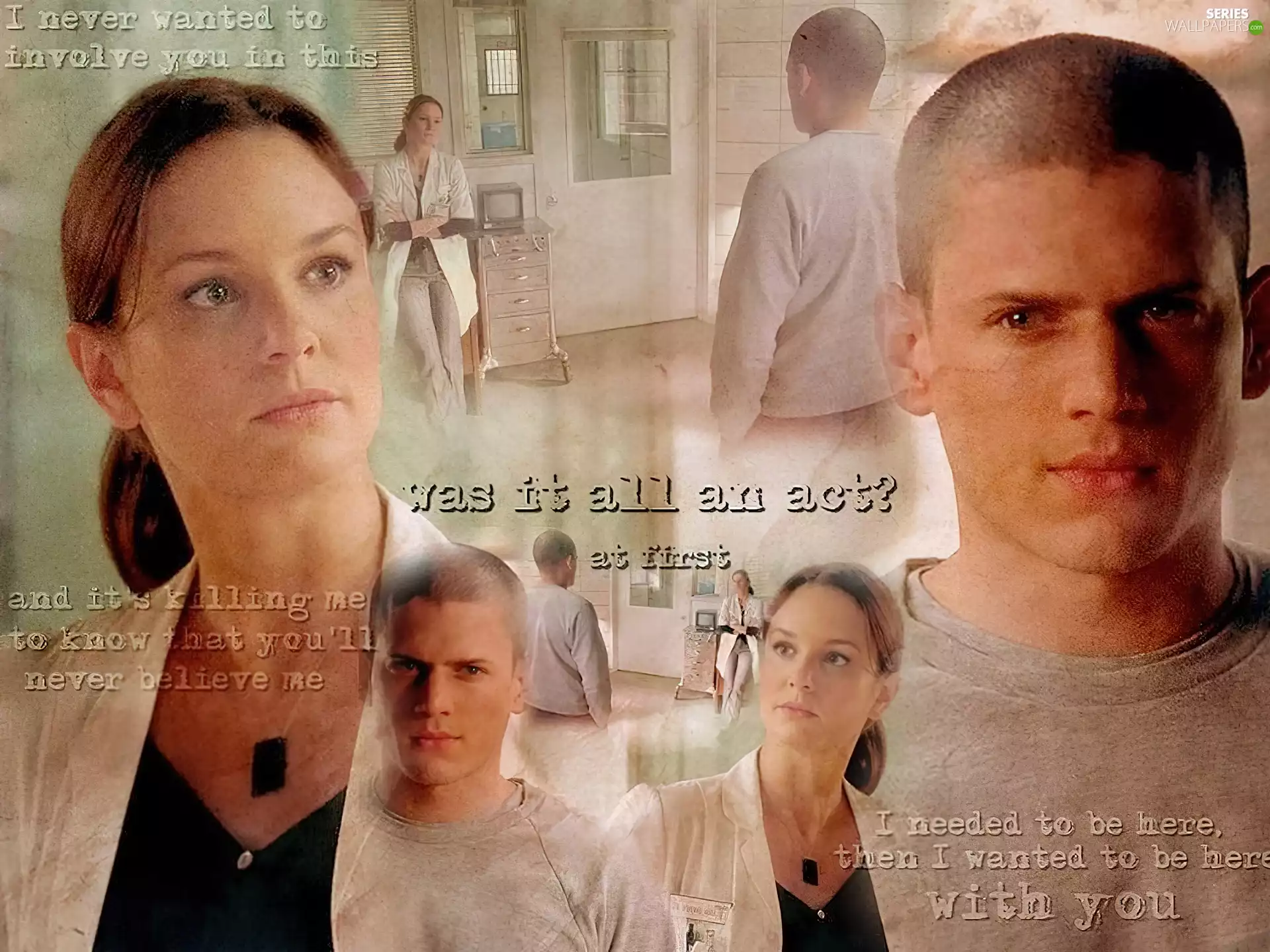 Sarah Wayne Callies, cabinet, Prison Break, Wentworth Miller, Prison Break