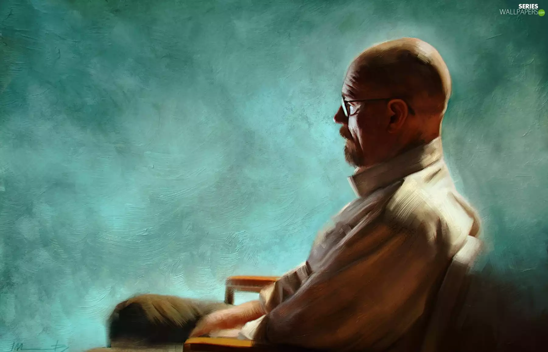 Isabella Morawetz, Breaking Bad, Character Walter White, series