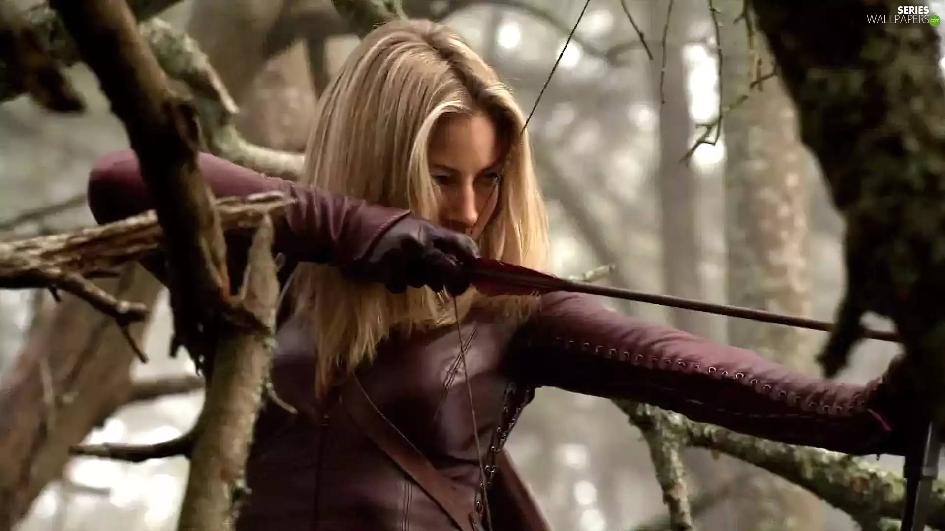 series, Legend of the Seeker, Tabrett Bethell, Sword of Truth