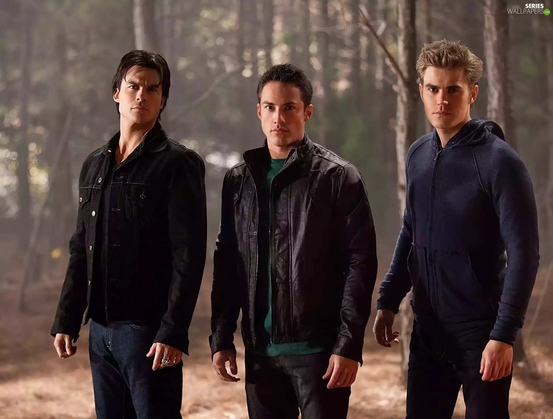 Michael Trevino, Paul Wesley, The Vampire Diaries, ian somerhalder, The Vampire Diaries