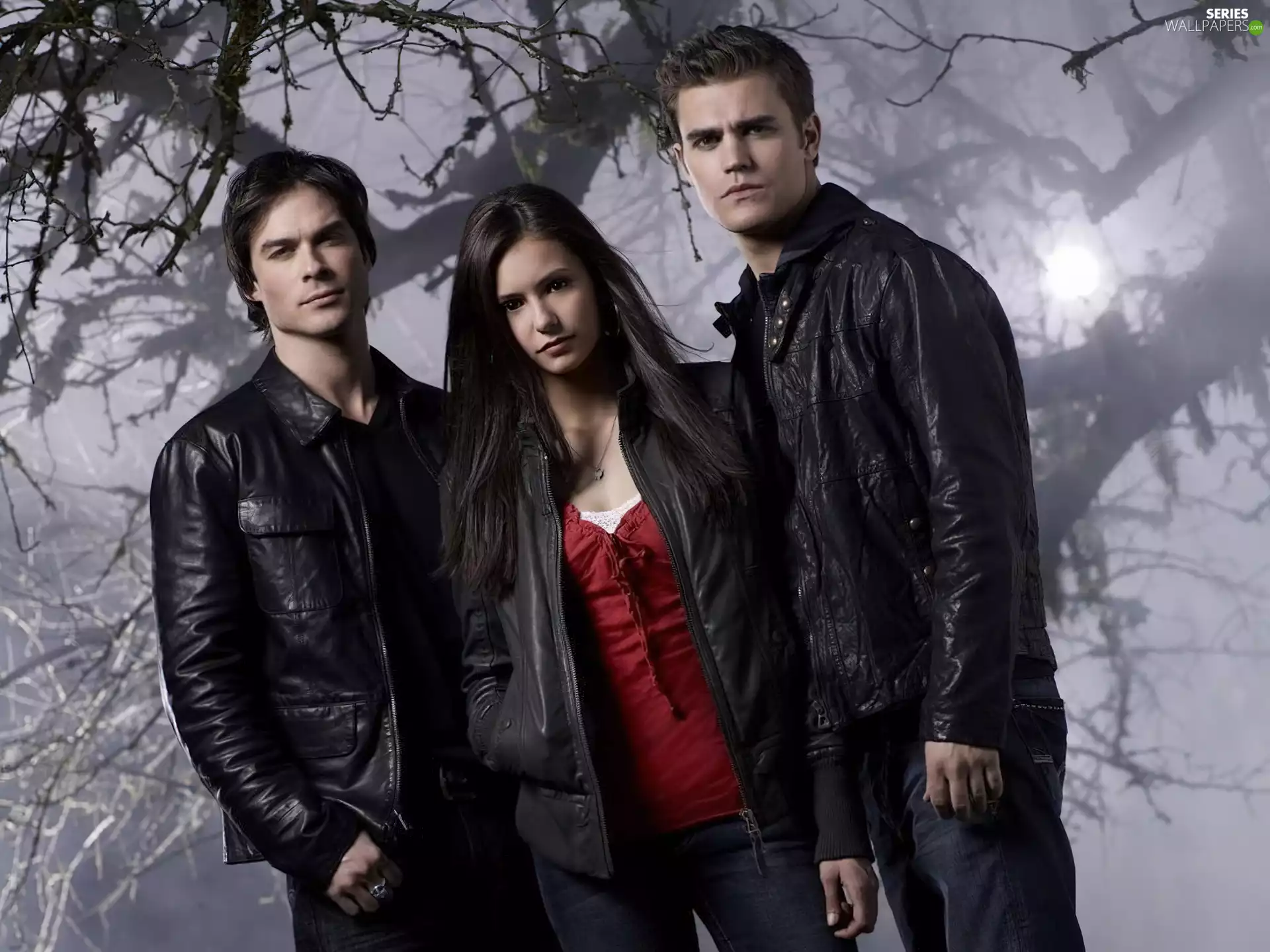 Nina Dobrev, Paul Wesley, The Vampire Diaries, ian somerhalder, The Vampire Diaries