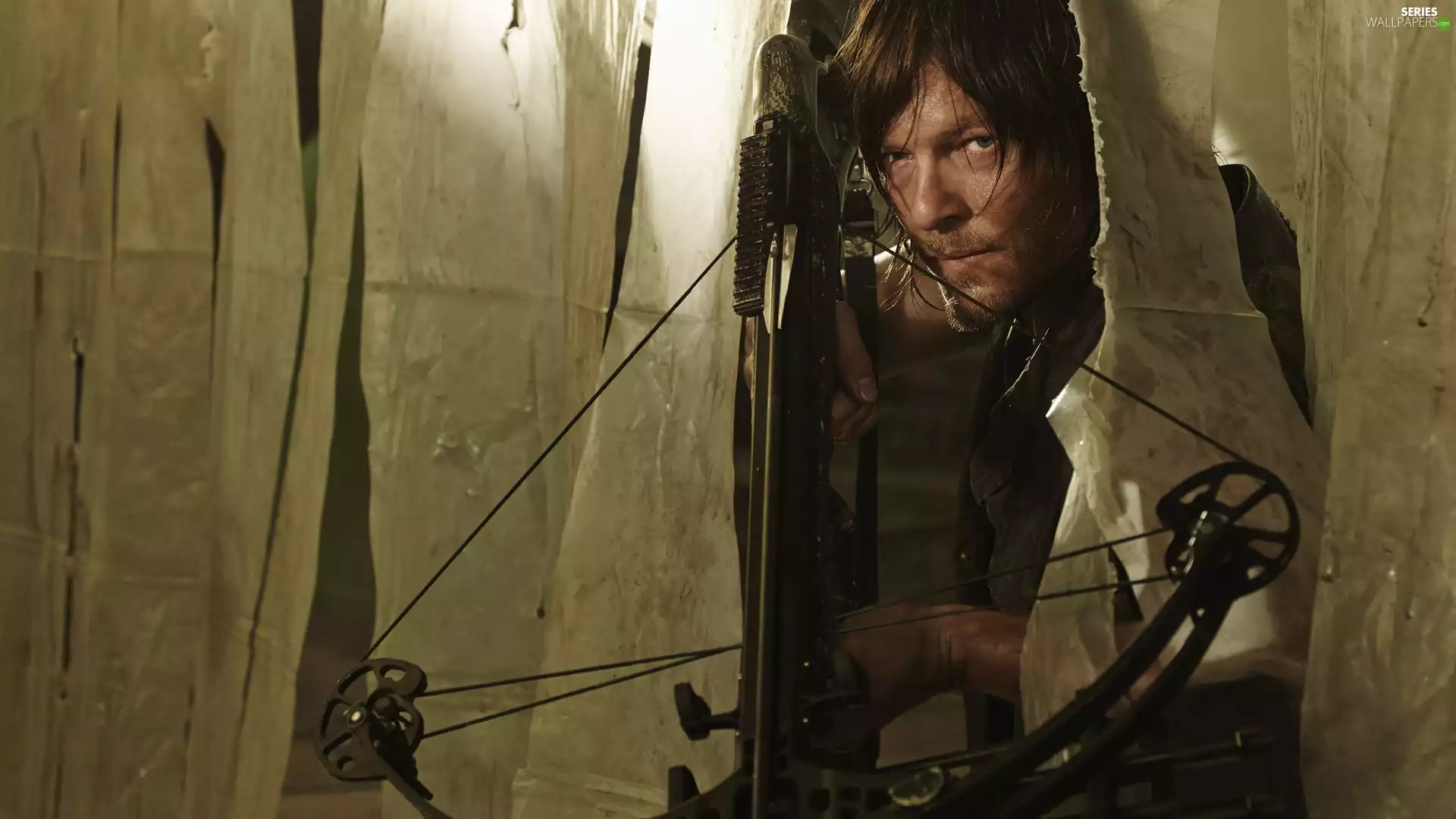 The Walking Dead, Living Dead, Norman Reedus, series, actor