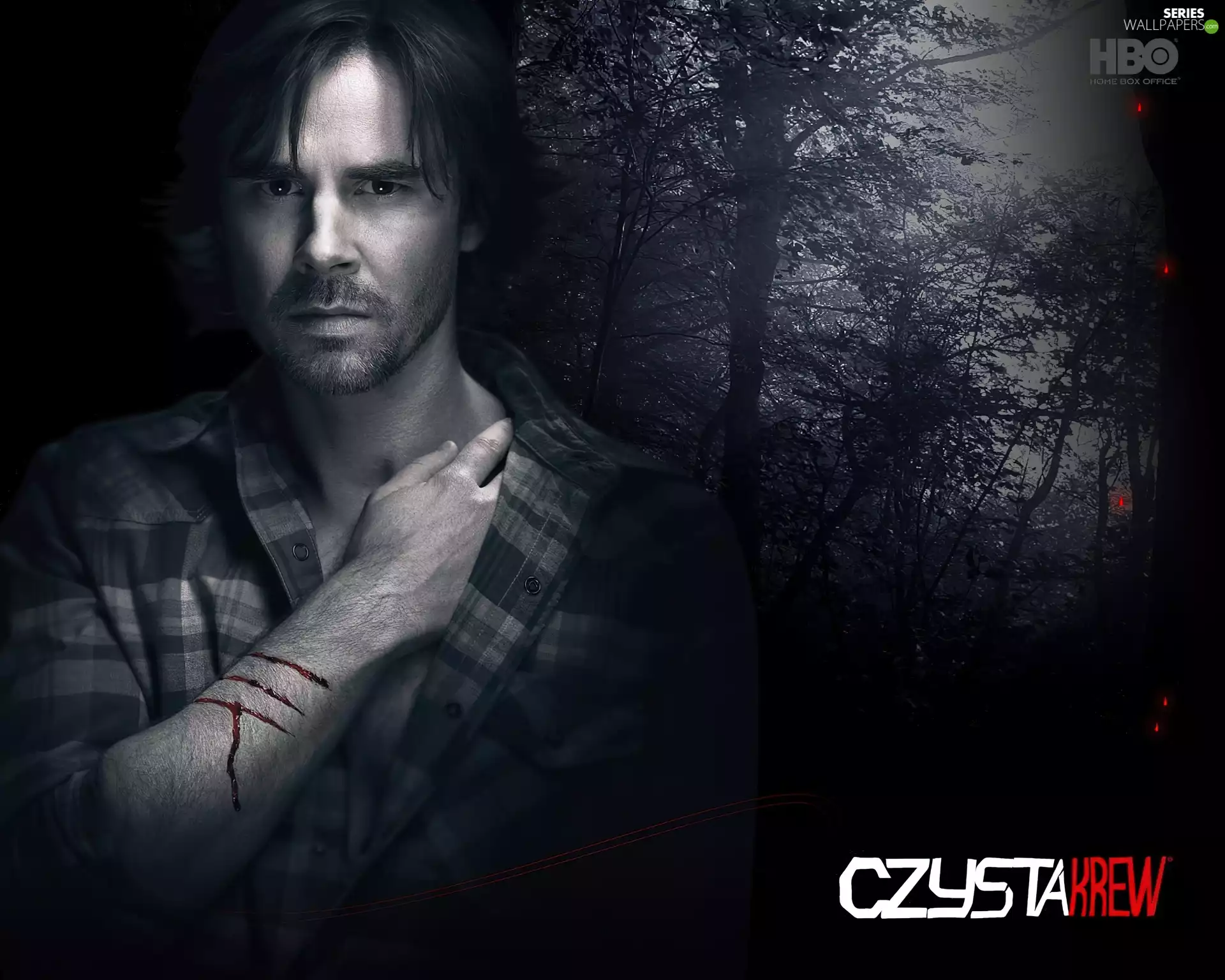 Sam - Sam Trammell, True Blood, True Blood