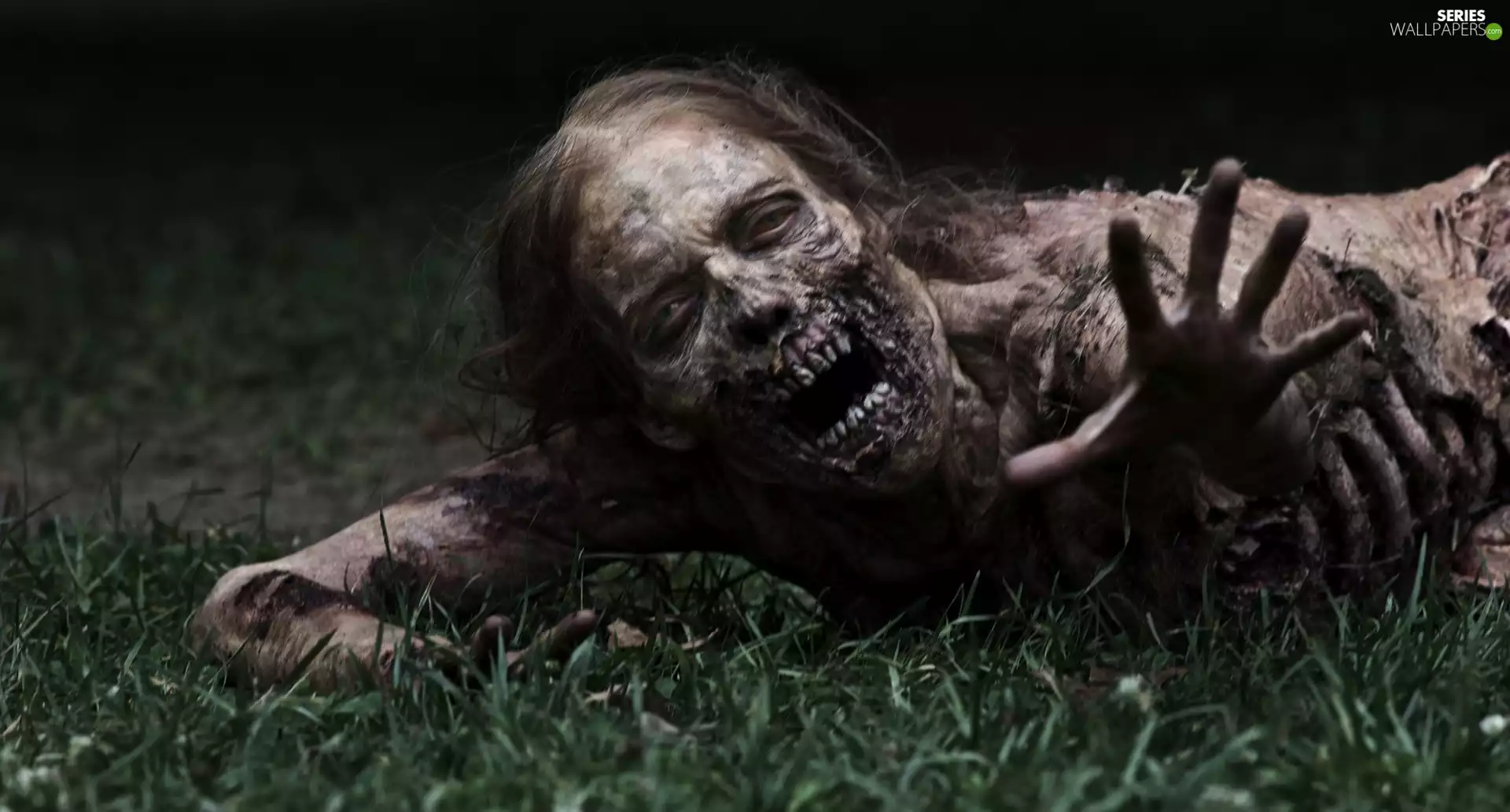 The Walking Dead, Women, zombie, Living Dead