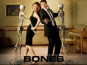 Bones, series, Emily Deschanel, skeletons, David Boreanaz, bones