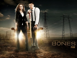 Emily Deschanel, David Boreanaz, Bones, bones, series