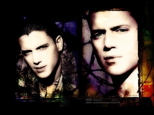 Wentworth Miller, Prison Break, Prison Break