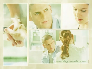 Wentworth Miller, Prison Break, cabinet, Sarah Wayne Callies, Prison Break, photos, medical