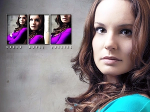 Prison Break, Sarah Wayne Callies, face, Prison Break