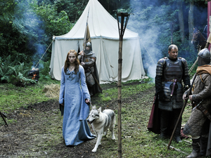 Sophie Turner, Game Of Thrones, dog, Sansa Stark, Game of Thrones, knights, actress