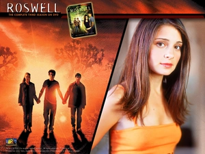 Roswell, Shiri Appleby