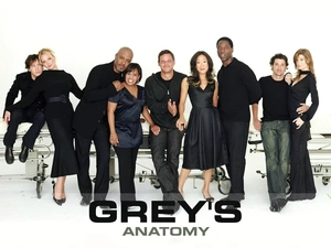 Heroes, Surgeons, Greys Anatomy, series