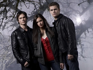 Nina Dobrev, Paul Wesley, The Vampire Diaries, ian somerhalder, The Vampire Diaries